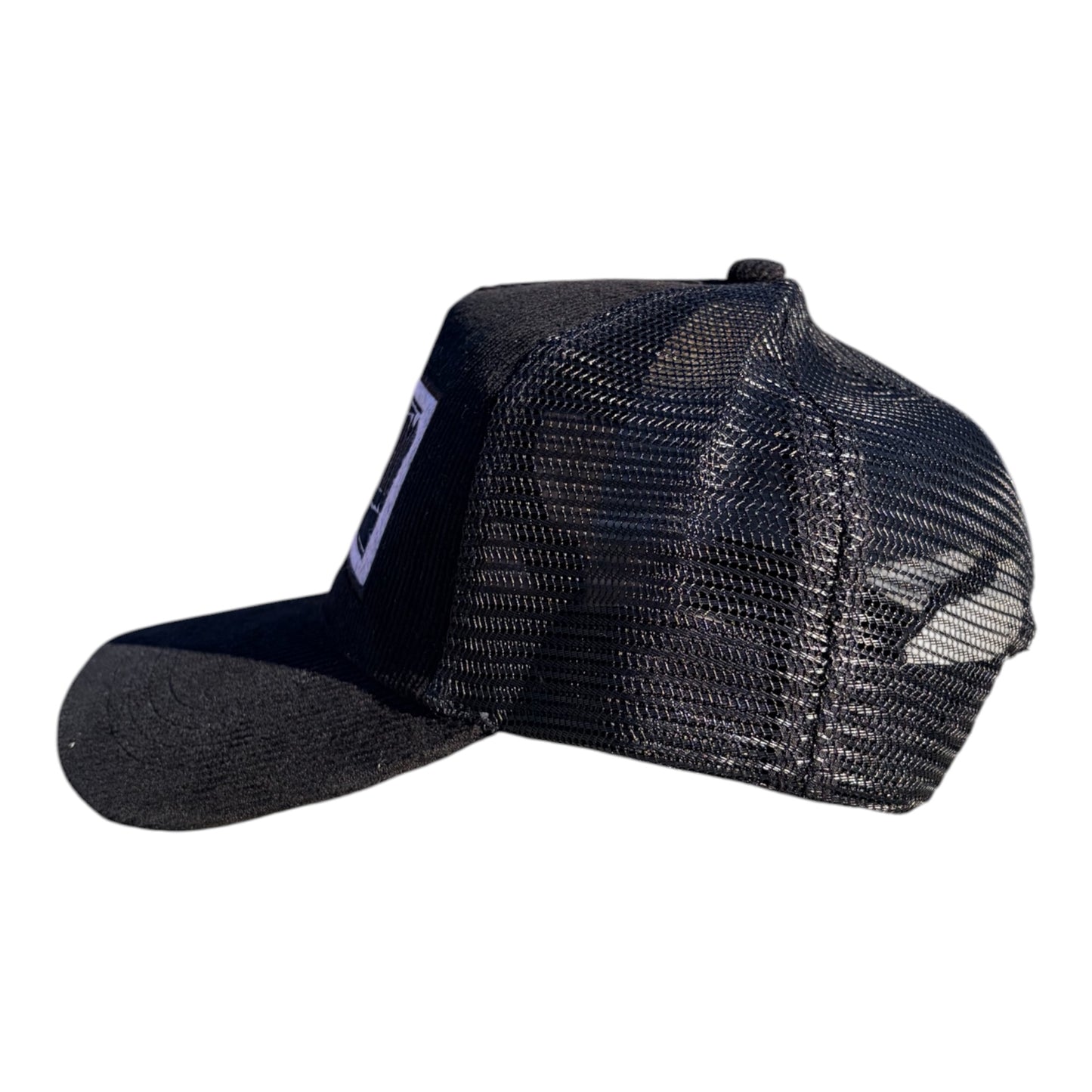 Frozen Shadow Trucker